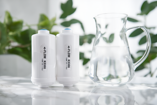 Filtres de remplacement K5366 PF-2 à Fluor