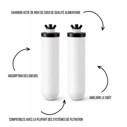 Filtres de remplacement céramique pour système gravitaire domestique