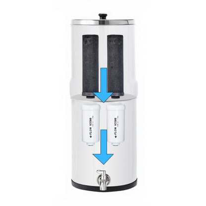 Filtres de remplacement K5366 PF-2 à Fluor